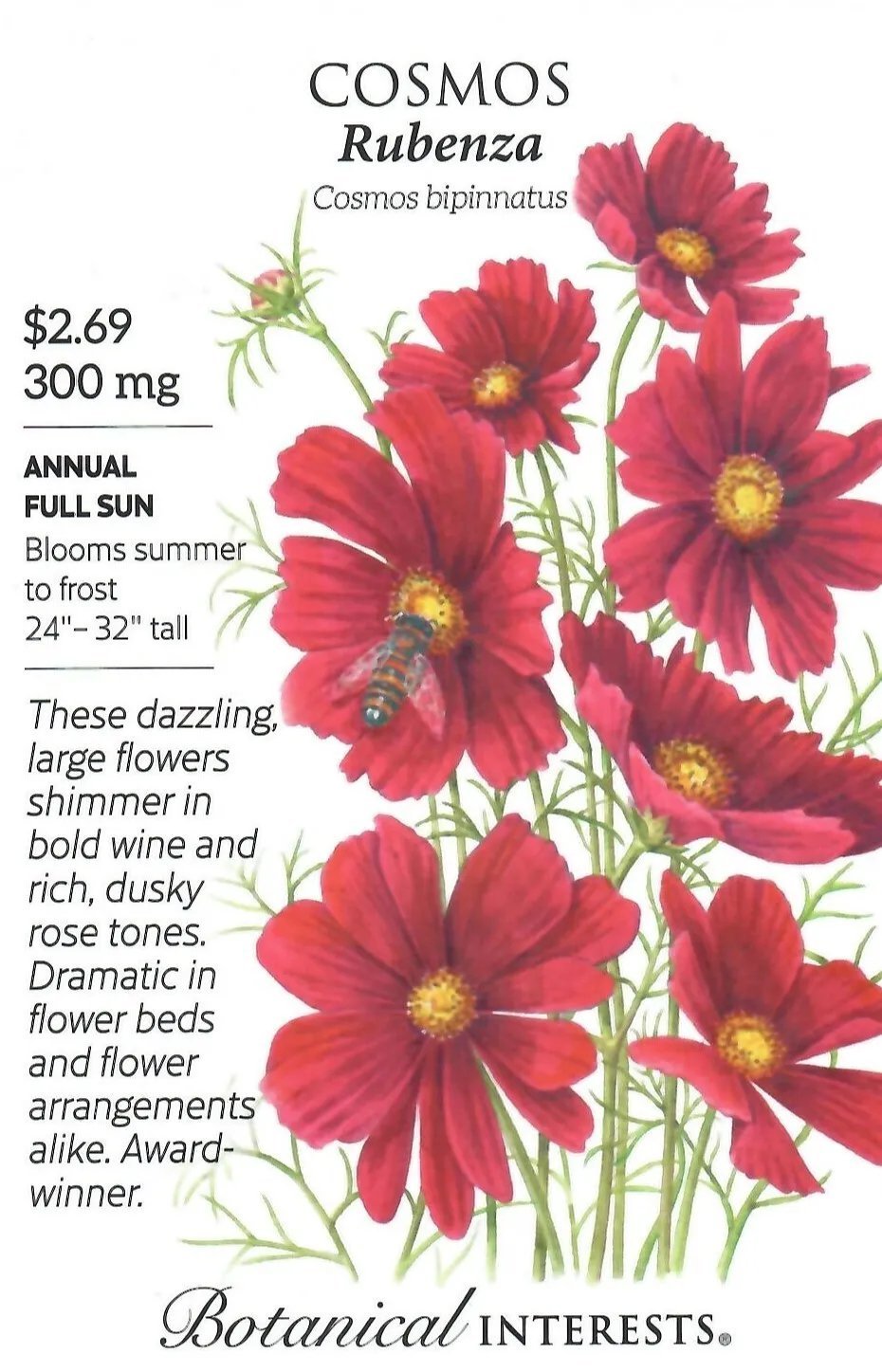 Cosmos Rubenza Flower Seeds
