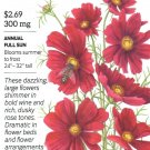 Cosmos Rubenza Flower Seeds