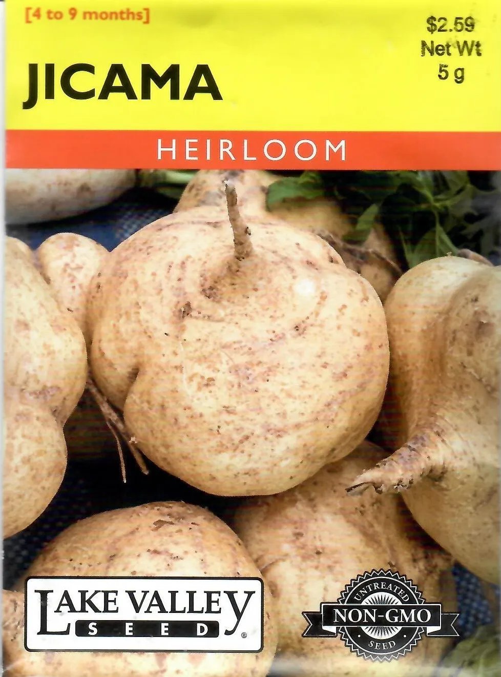 Jicama Heirloom Vegetable Seeds