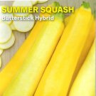 Squash Summer Butterstick Hybrid Vegetable Seeds