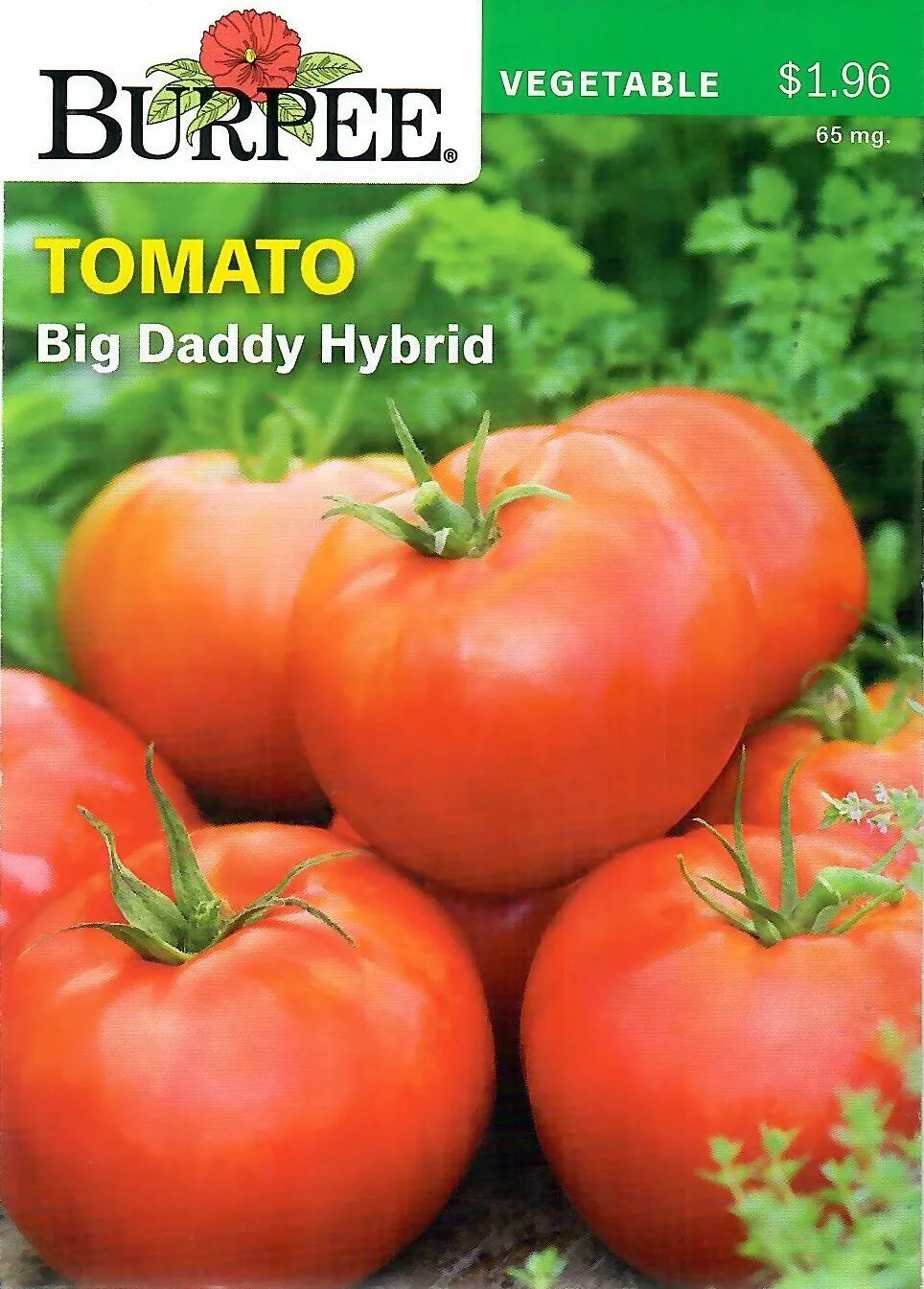 Tomato Big Daddy Hybrid Vegetable Seeds