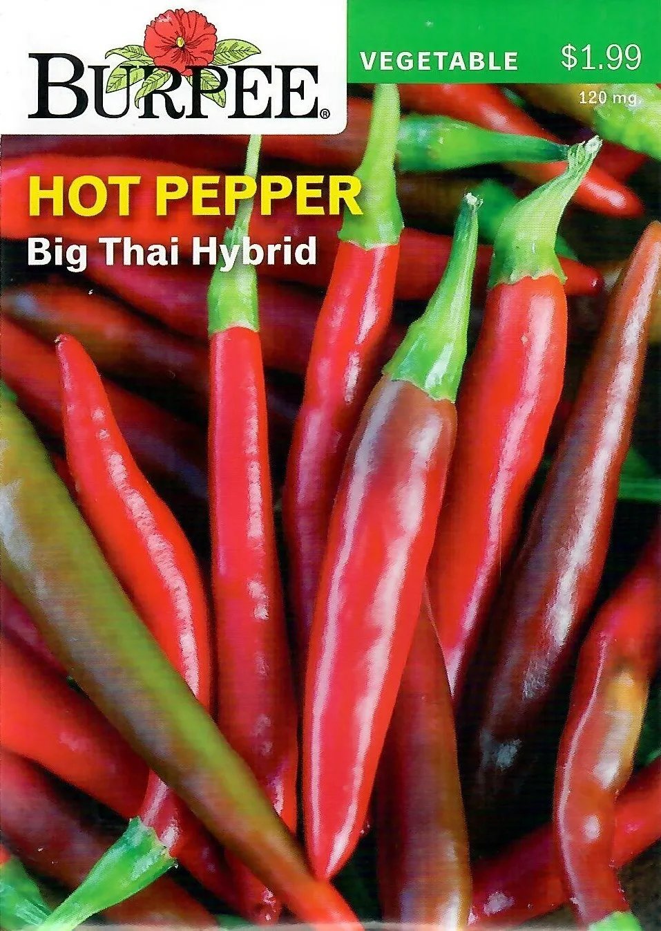 Pepper Big Thai Hybrid Vegetable Seeds