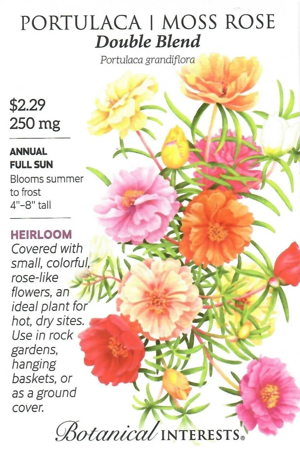 Portulaca Moss Rose Double Blend Flower Seeds