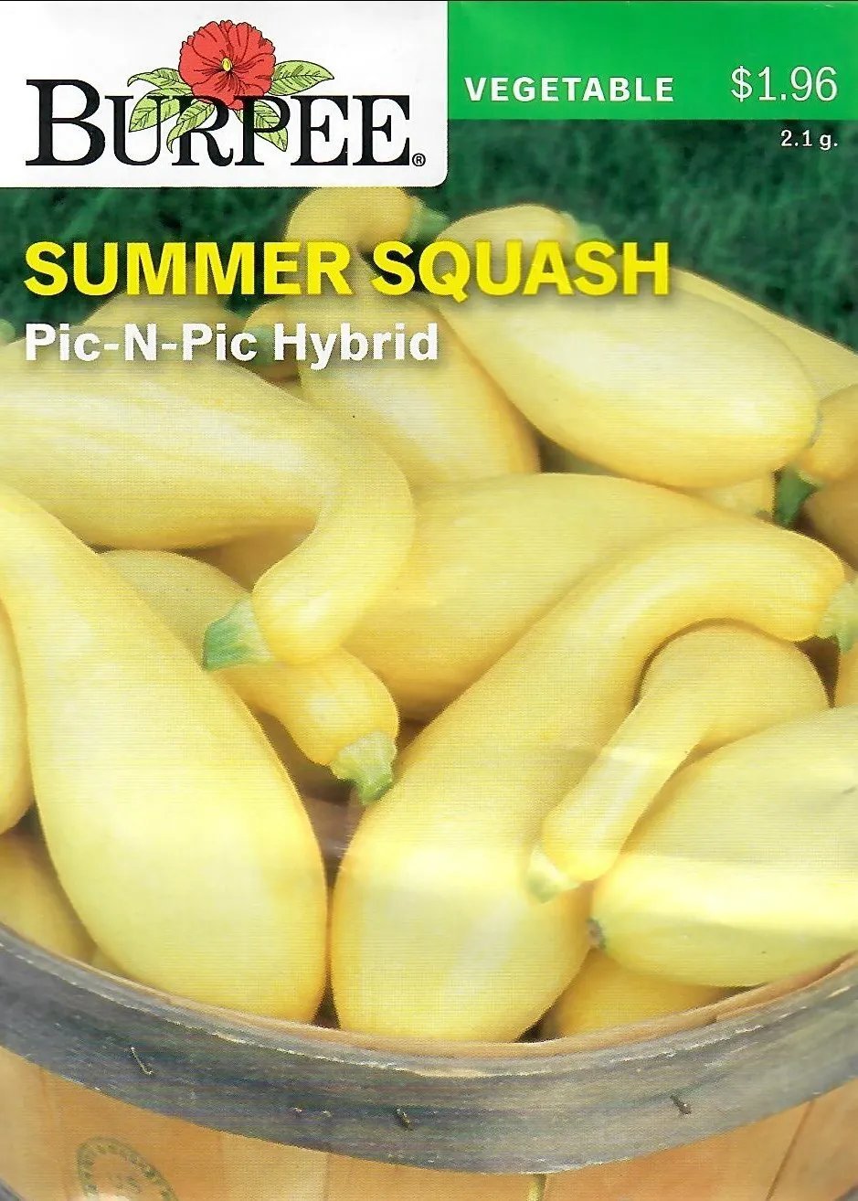 Squash Pic-N-Pic Hybrid Vegetable Seeds