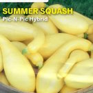 Squash Pic-N-Pic Hybrid Vegetable Seeds Squash Pic-N-Pic Hybrid Vegetable Seeds