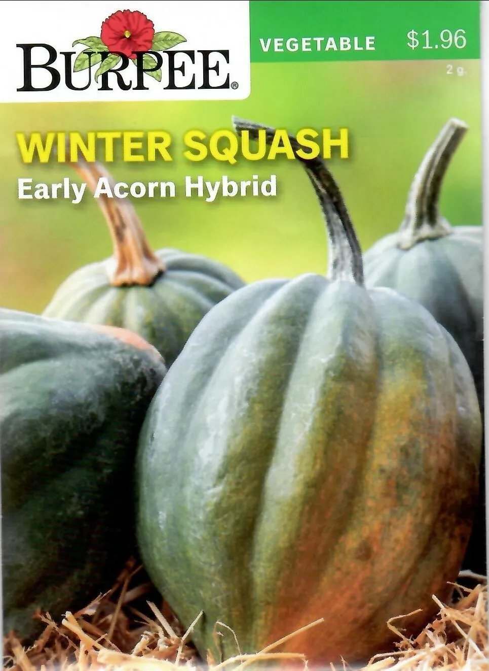Squash Winter Early Acorn Hybrid Vegetable Seeds