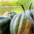 Squash Winter Early Acorn Hybrid Vegetable Seeds