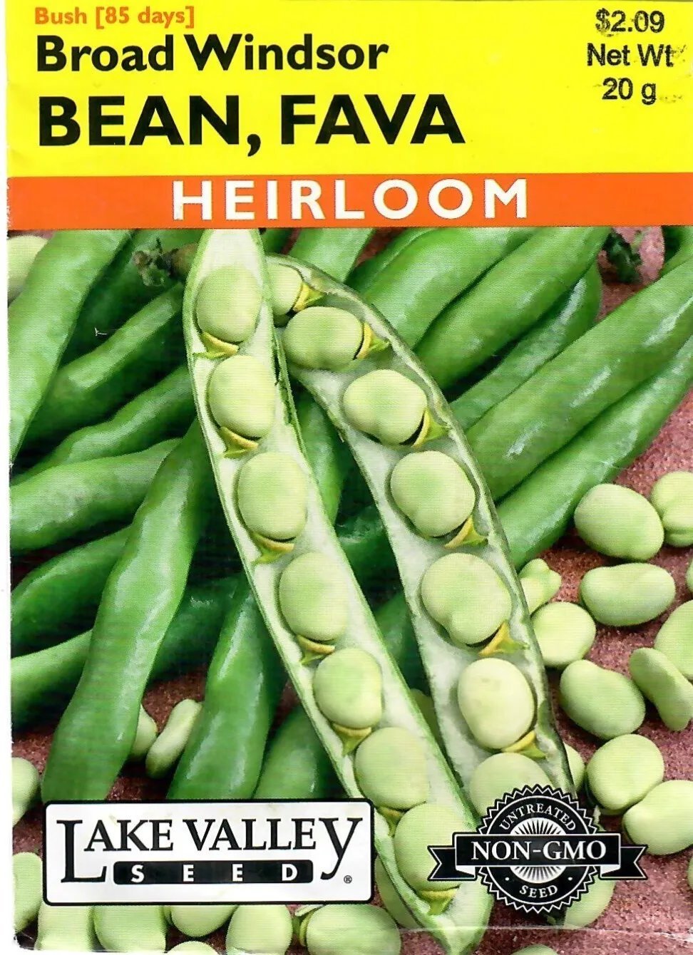Bean Fava Broad Windsor Heirloom Vegetable Seeds