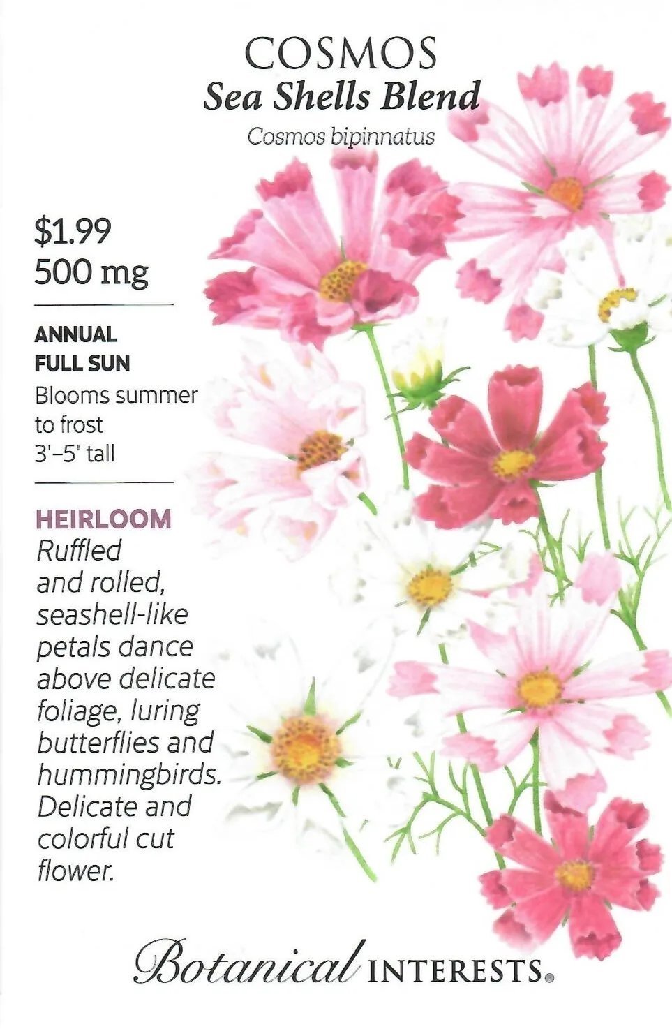 Cosmos Sea Shell Blend Flower Seeds