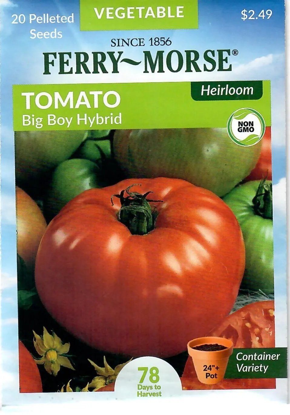 Tomato Big Boy Hybrid Vegetable Seeds