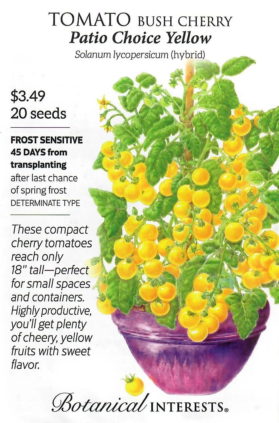 Tomato Patio Choice Yellow Vegetable Seeds