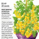 Tomato Patio Choice Yellow Vegetable Seeds
