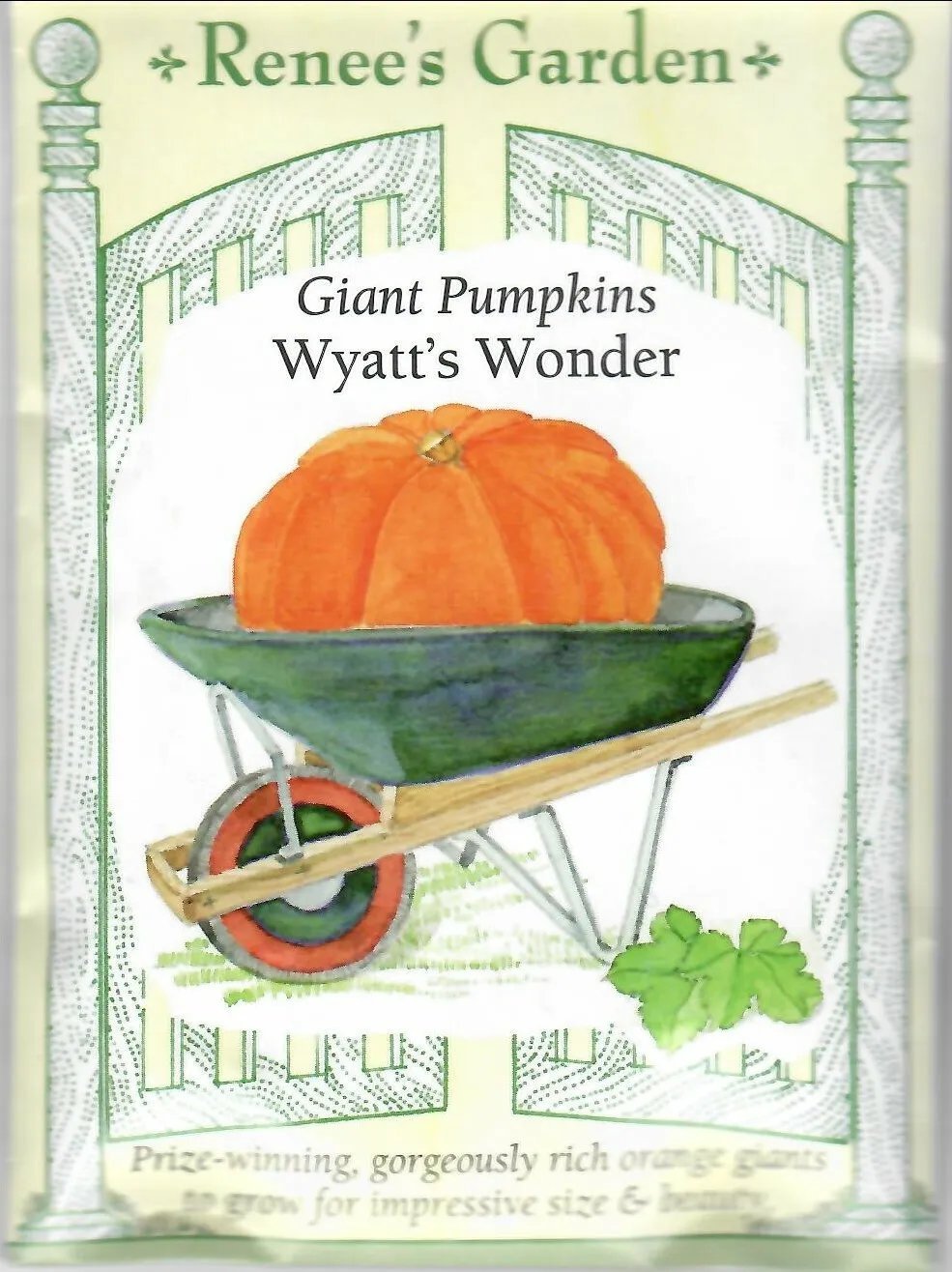 Pumpkin Giant Wyatt'S Wonder Vegetable Seeds