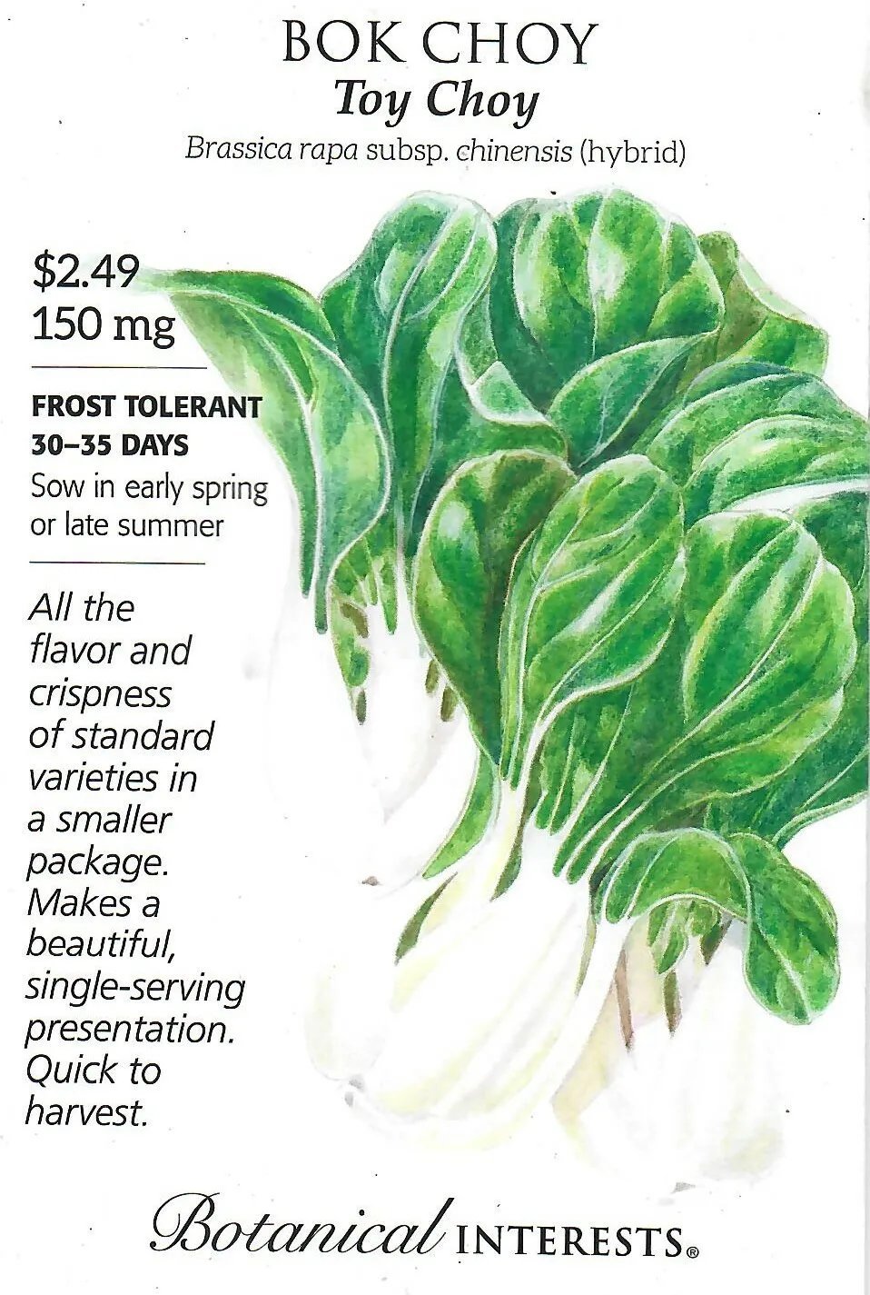 Bok Choy Toy Choy Vegetable Seeds