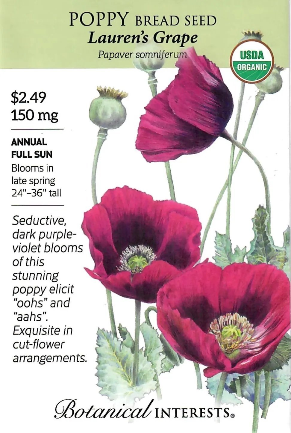 Poppy Lauren'S Grape Organic Flower Seeds