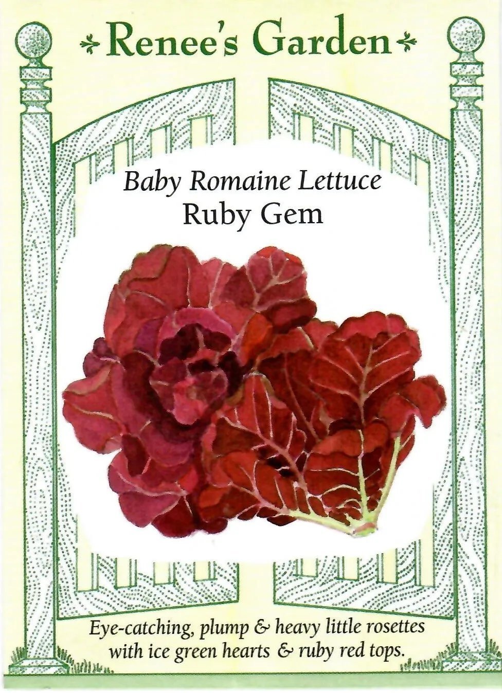 Lettuce Baby Romaine Ruby Gem Vegetable Seeds