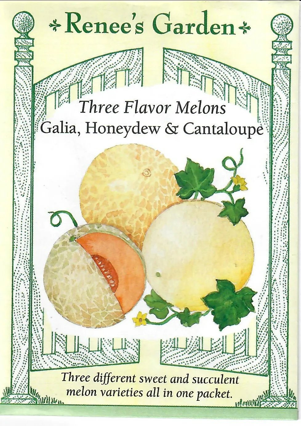 Melon 3 Flavors-Galia Honeydew & Cantaloupe Vegetable Seeds