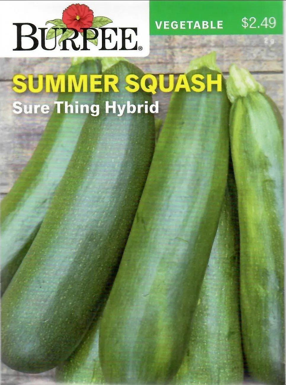 Squash Summer Sure Thing Hybrid Vegetable Seeds