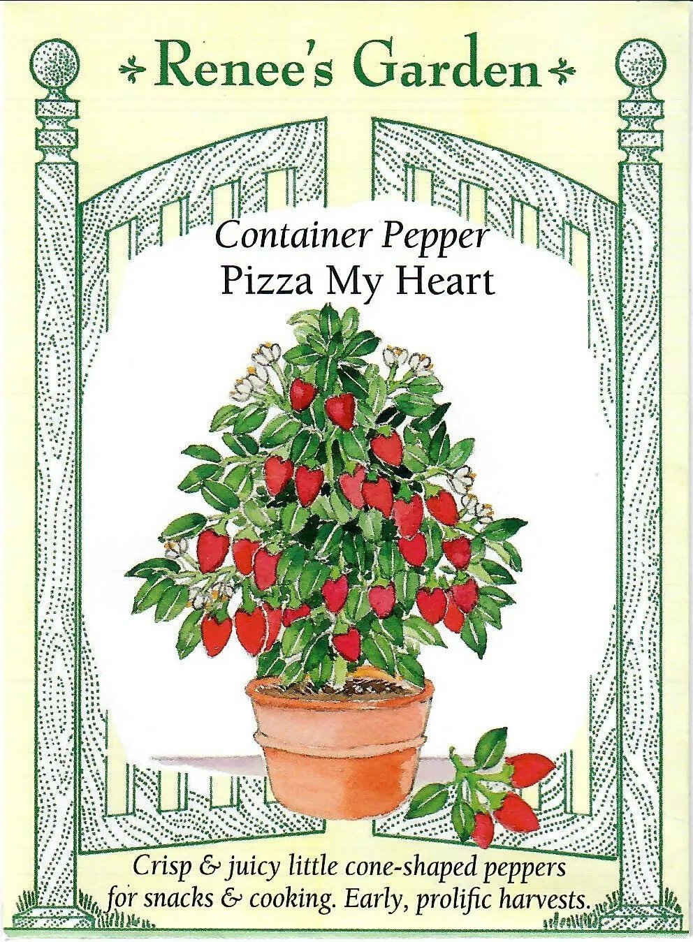 Pepper Container Pizza My Heart Vegetable Seeds