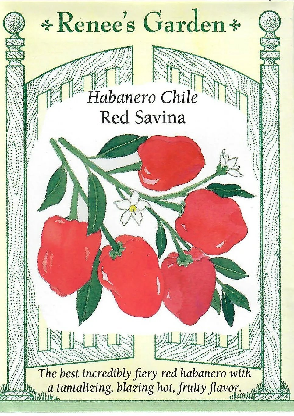Pepper Habanero Red Savina Vegetable Seed