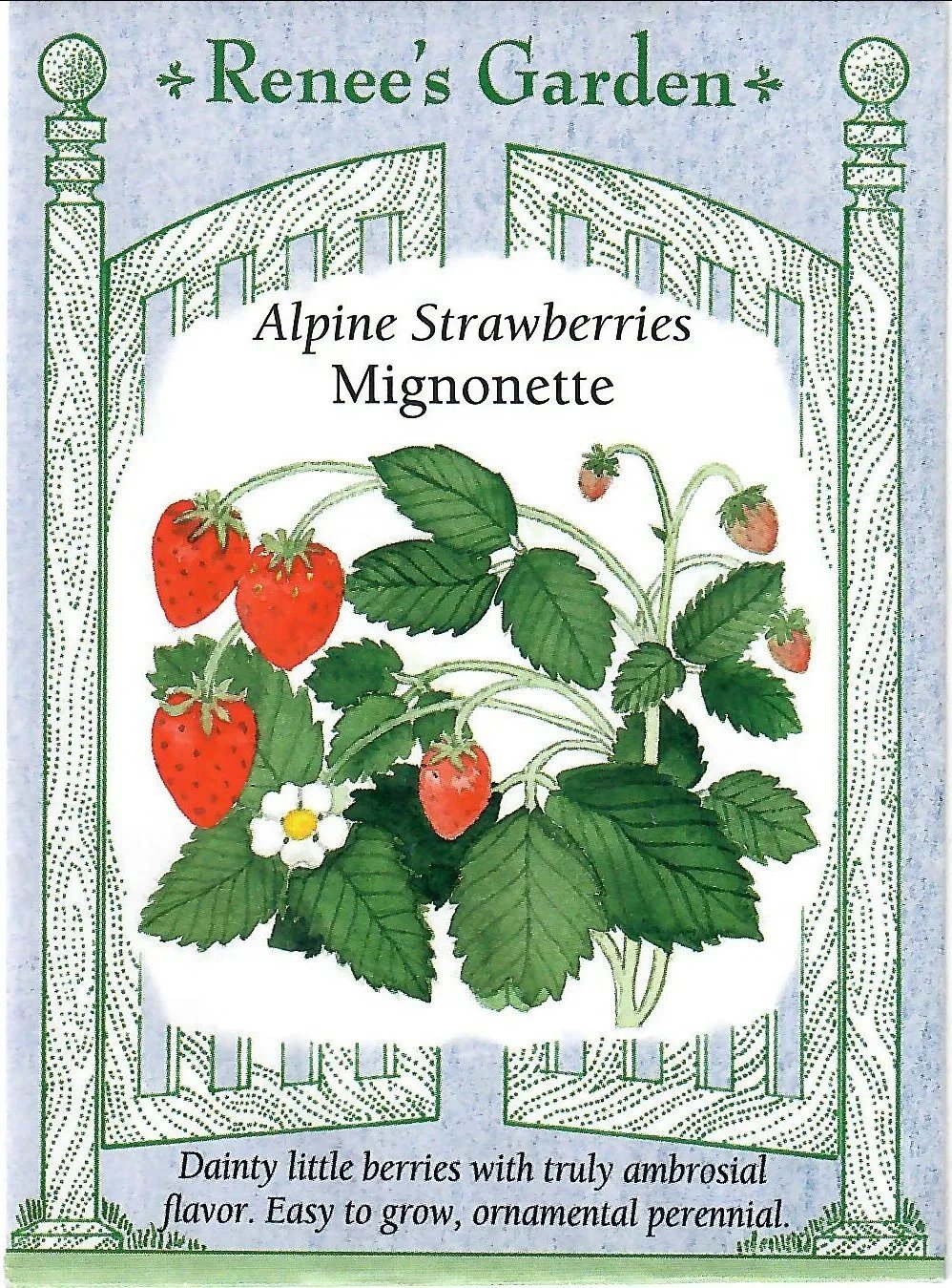 Strawberry Alpine Mignonette Vegetable Seeds