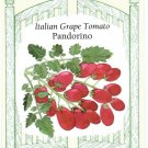 Tomato Italian Grape Padorino Heirloom Vegetable Seeds