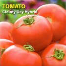 Tomato Cloudy Day Hybrid Vegetable Seeds