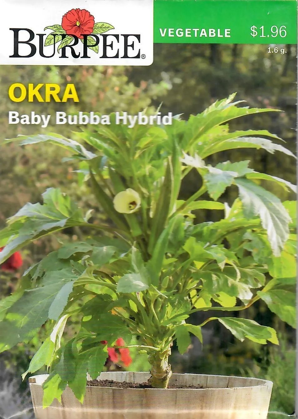 Okra Baby Bubba Hybrid Vegetable Seeds