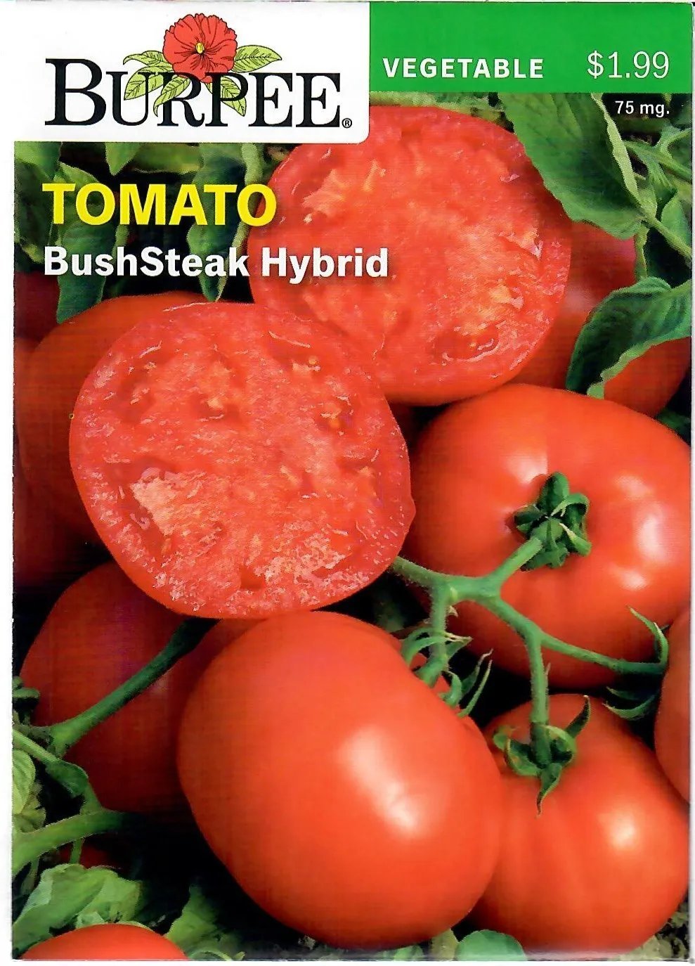 Tomato Bush Steak Hybrid Vegetable Seeds