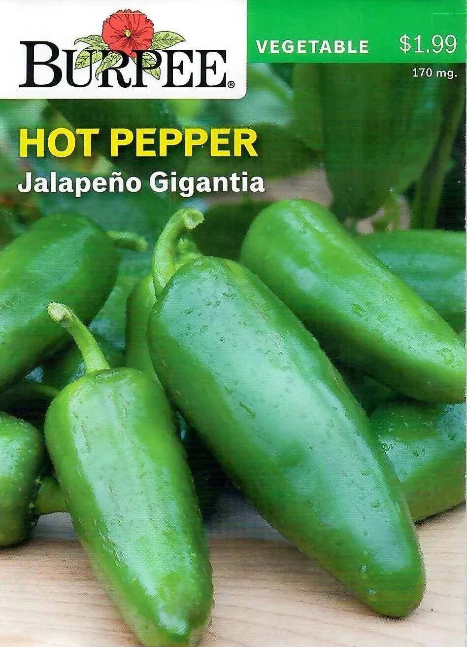 Pepper Jalapeno Gigantia Vegetable Seeds