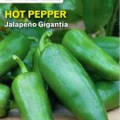 Pepper Jalapeno Gigantia Vegetable Seeds