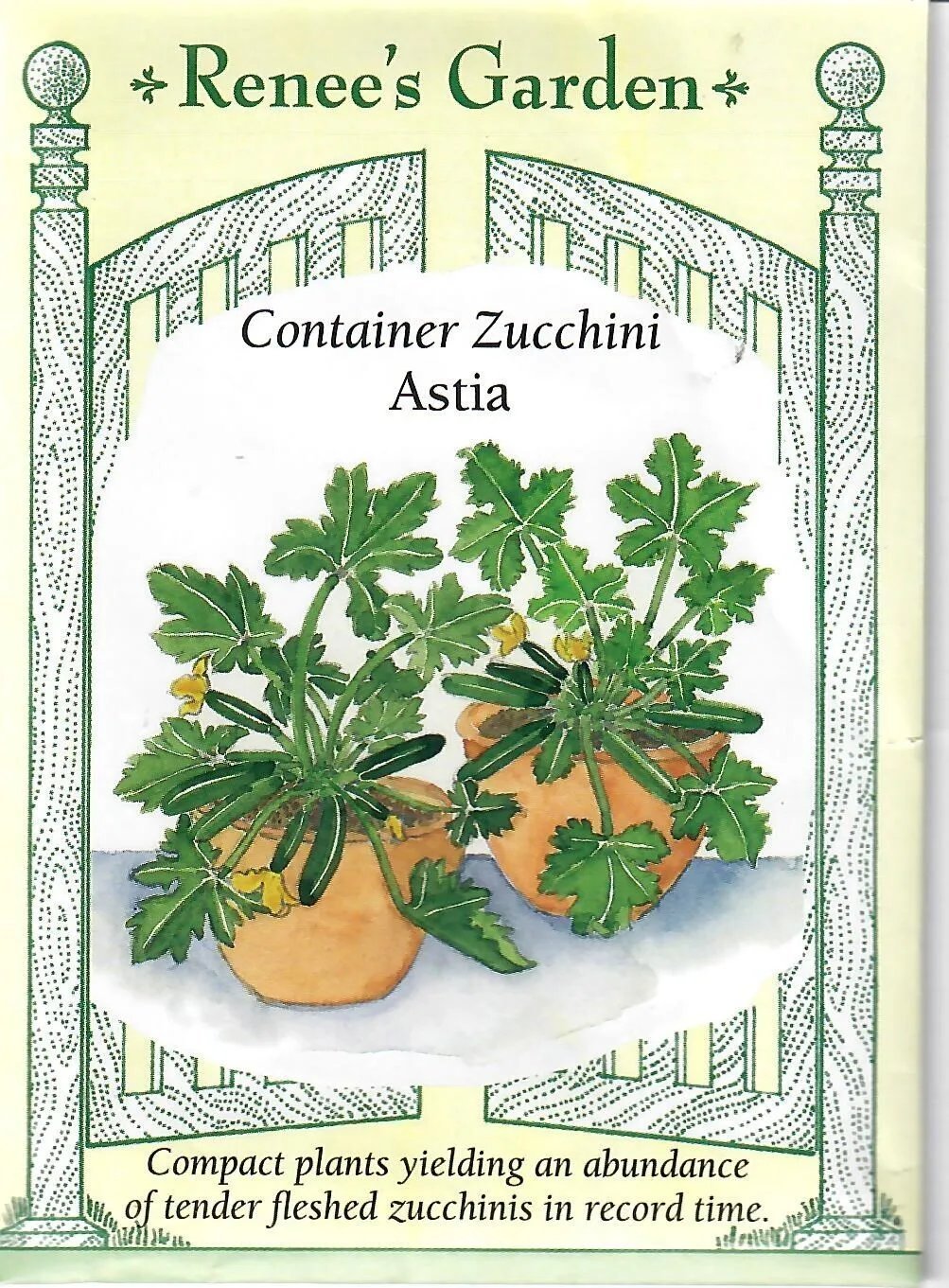 Zucchini Astia Container Vegetable Seeds
