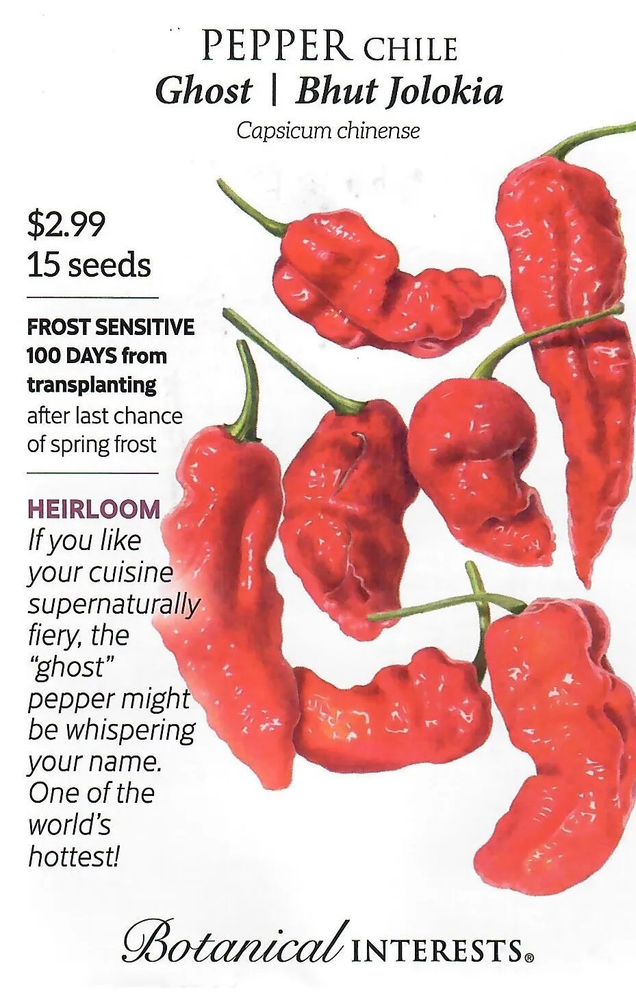 Pepper Ghost Heirloom Vegetable Seeds