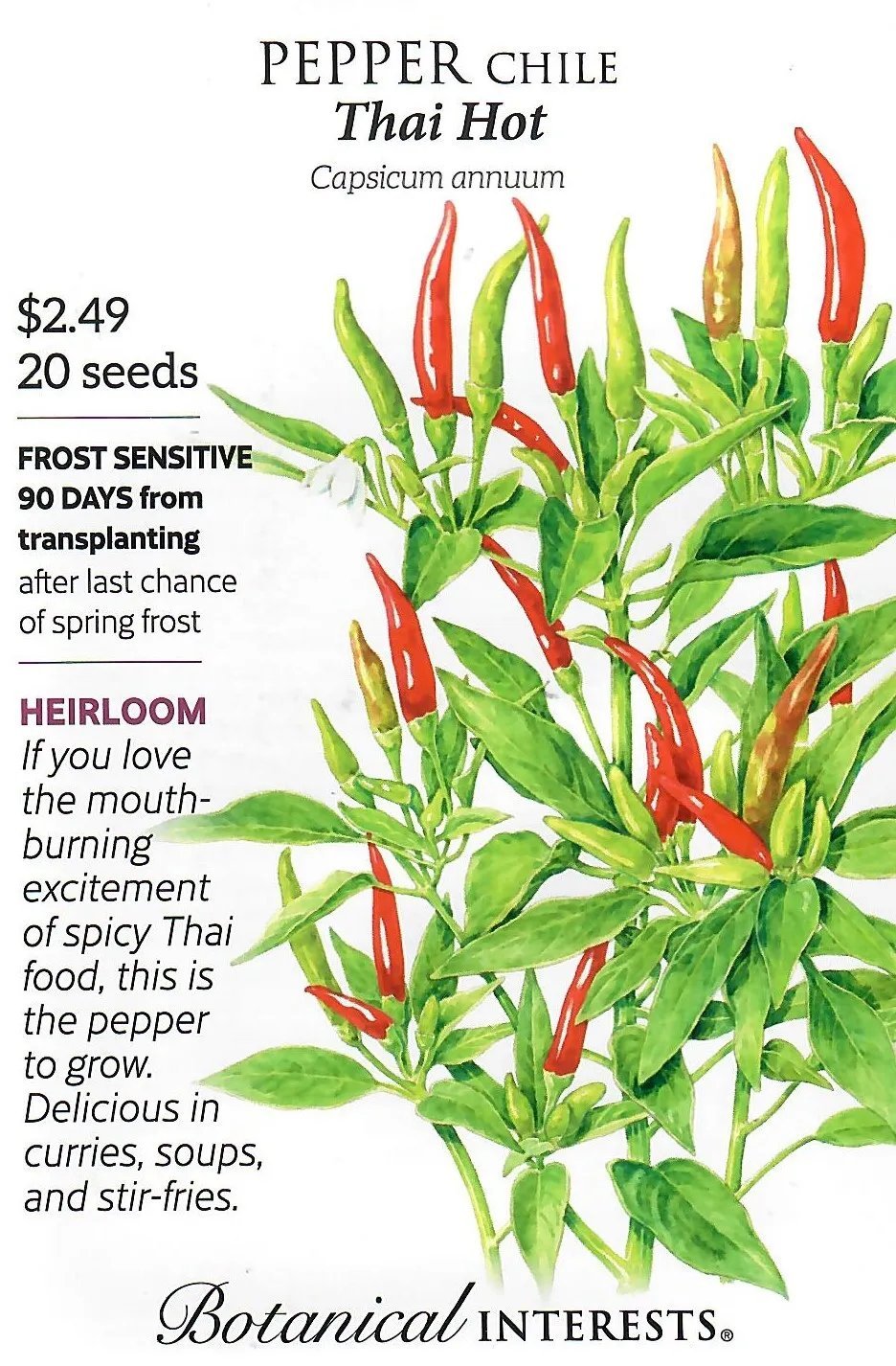 Pepper Chile Anaheim Vegetable Seeds