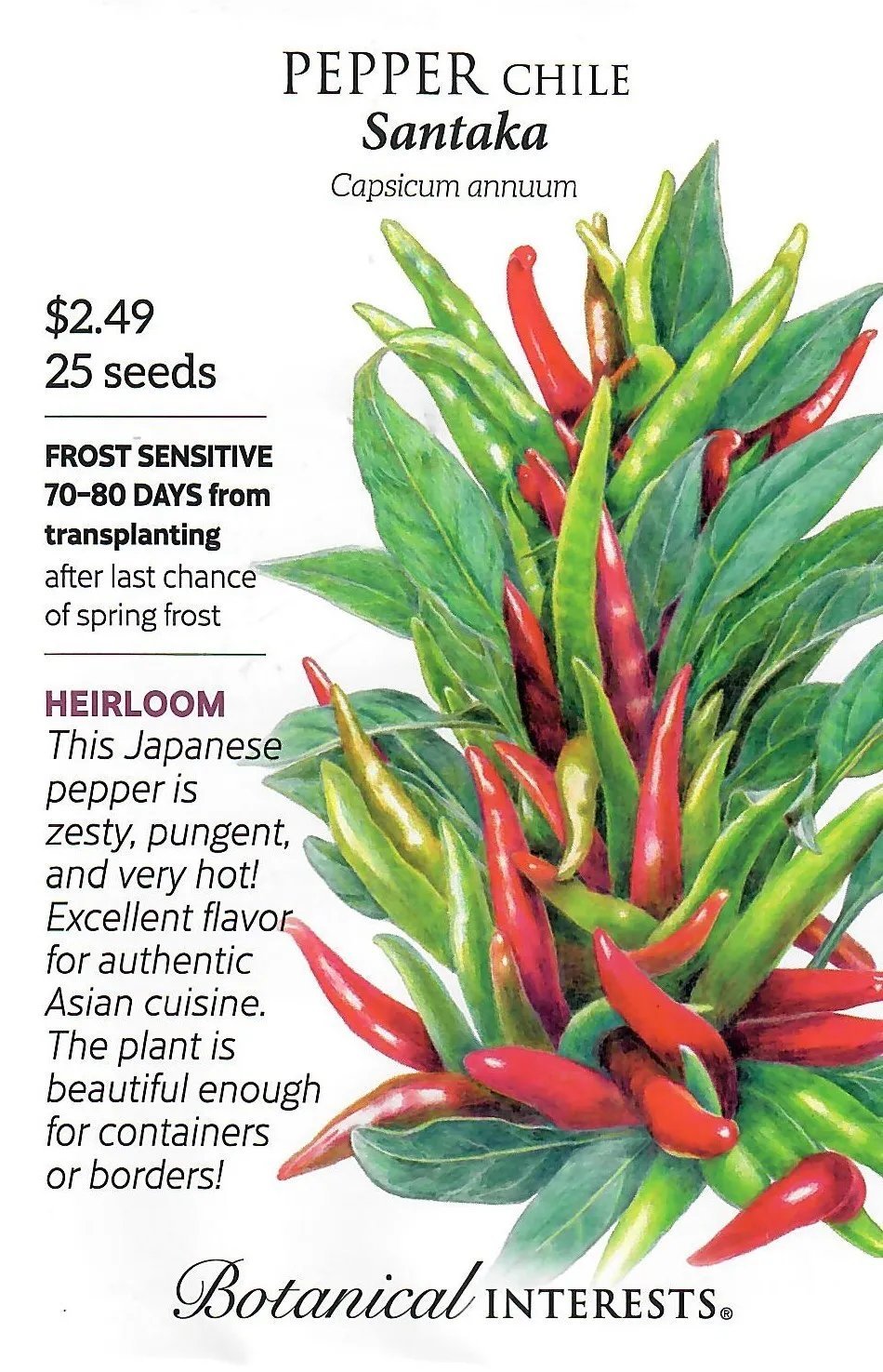 Pepper Chile Santaka Heirloom Vegetable Seeds