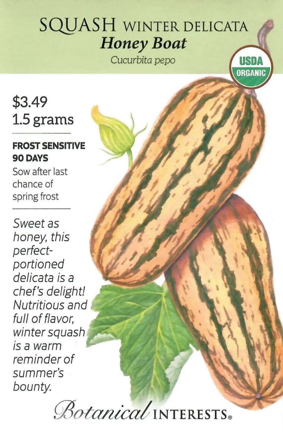 Squash Honey Boat Organic Vegetable Seeds