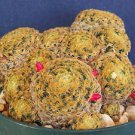 Mammillaria Shiedeana exotic pincushion flower cacti rare cactus seed 100 SEEDS
