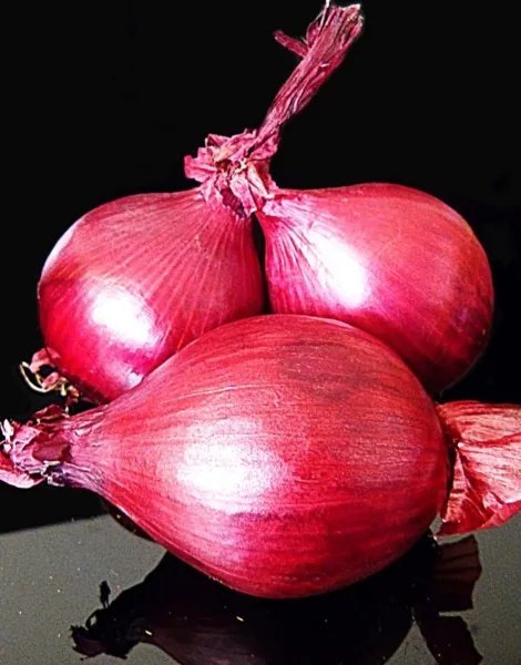 Red Onion Heirloom Vegetable Organic Plant Herb Salad Spice Seed 100 Seeds