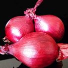 Red Onion Heirloom Vegetable Organic Plant Herb Salad Spice Seed 100 Seeds