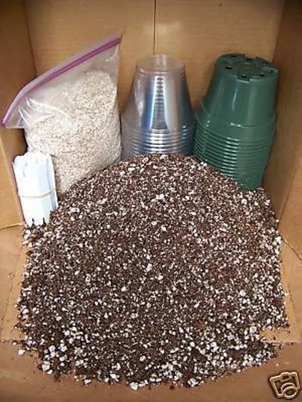 Hot Seedling Kit Cactus Succulents Growing Cacti Soil Labels Seeds Starter 20 Pots 4