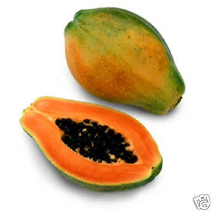 Hot Papaya Red Flesh @@ Exotic Tropical Fruit Seed 30 Seeds