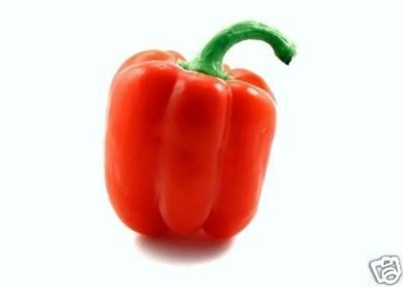 Hot Red Bell Pepper Sweet, Aji Pimiento Rojo Seed 100 Seeds