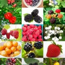 Hot Cherries Mix, Rare Wild Cherry Exotic Edible Fruit Jam Jelly Sweet Seed 50 Seeds