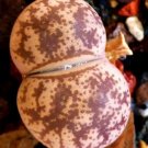 Hot Cape Gooseberry Goldenberry Physalis Peruviana Peruvian Groundcherry -25 Seeds