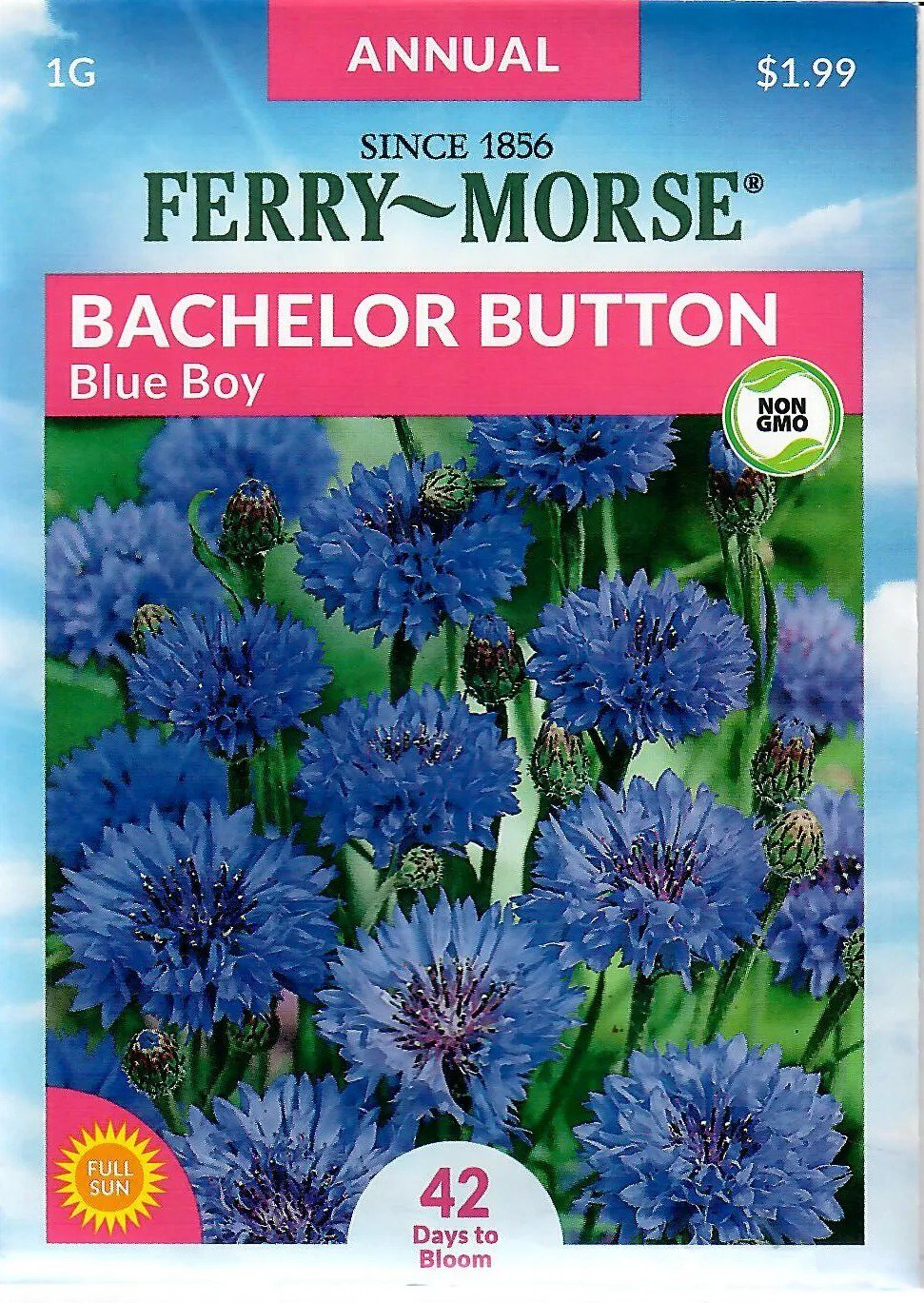 Bachelor Button Blue Boy Flower Seeds