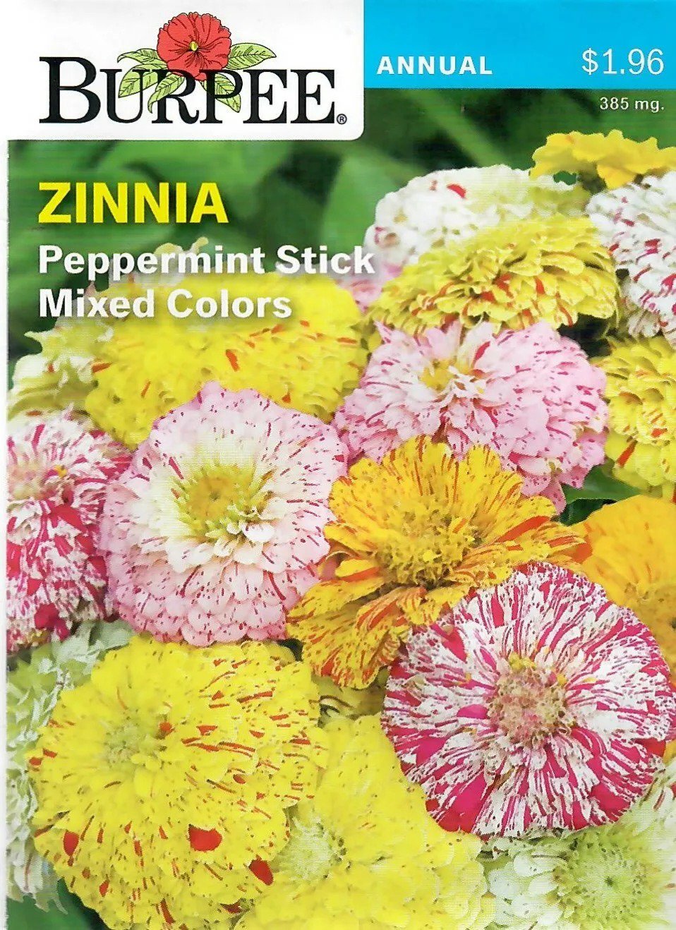 Zinnia Peppermint Stick Mixed Colors Flower Seeds