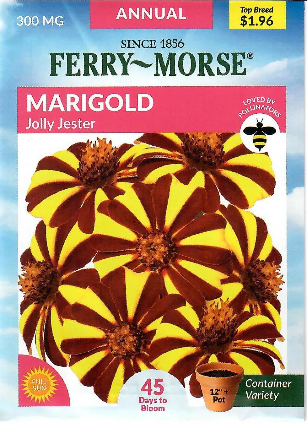 Marigold Jolly Jester Flower Seeds