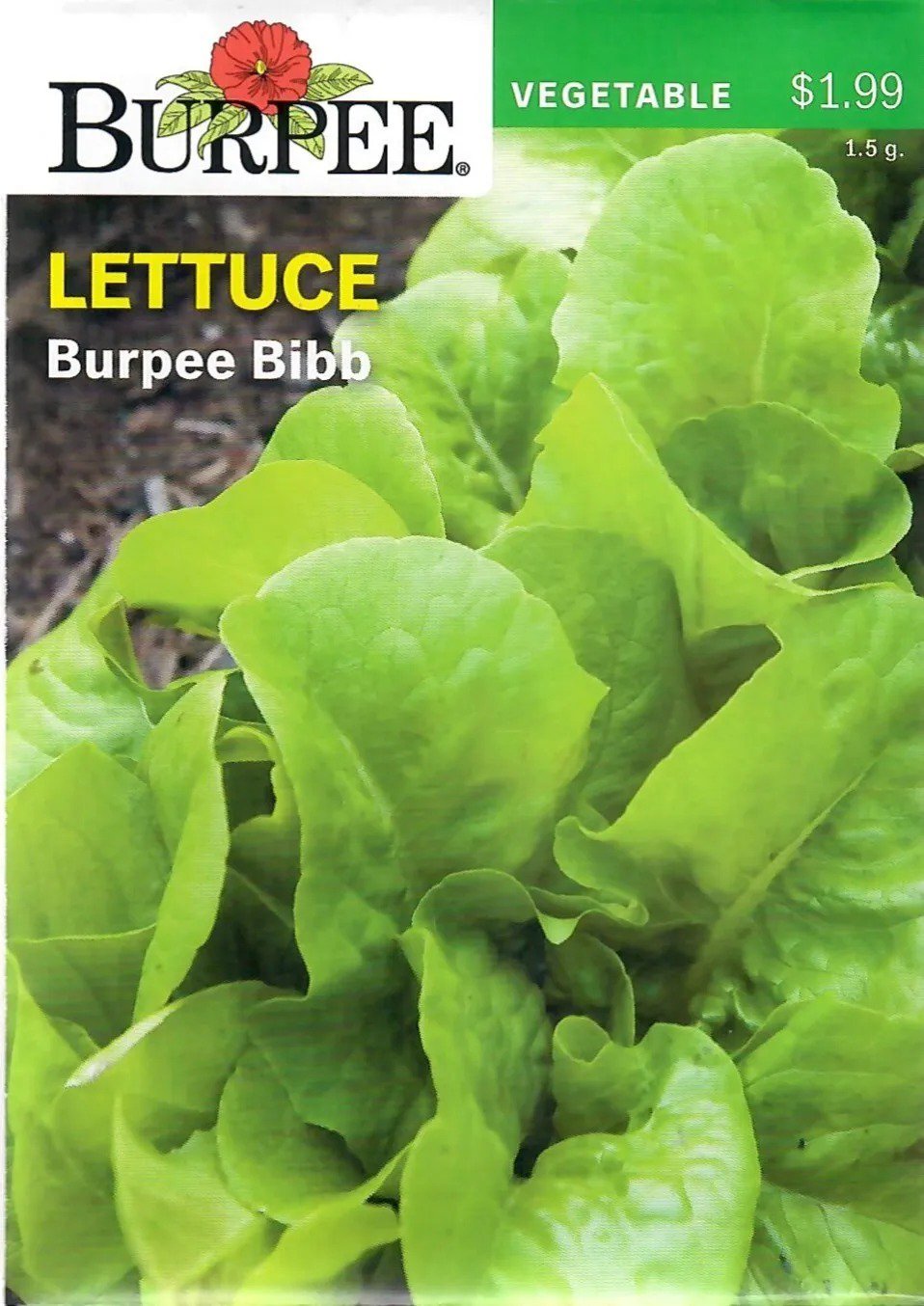 Lettuce Burpee Bibb Vegetable Seeds