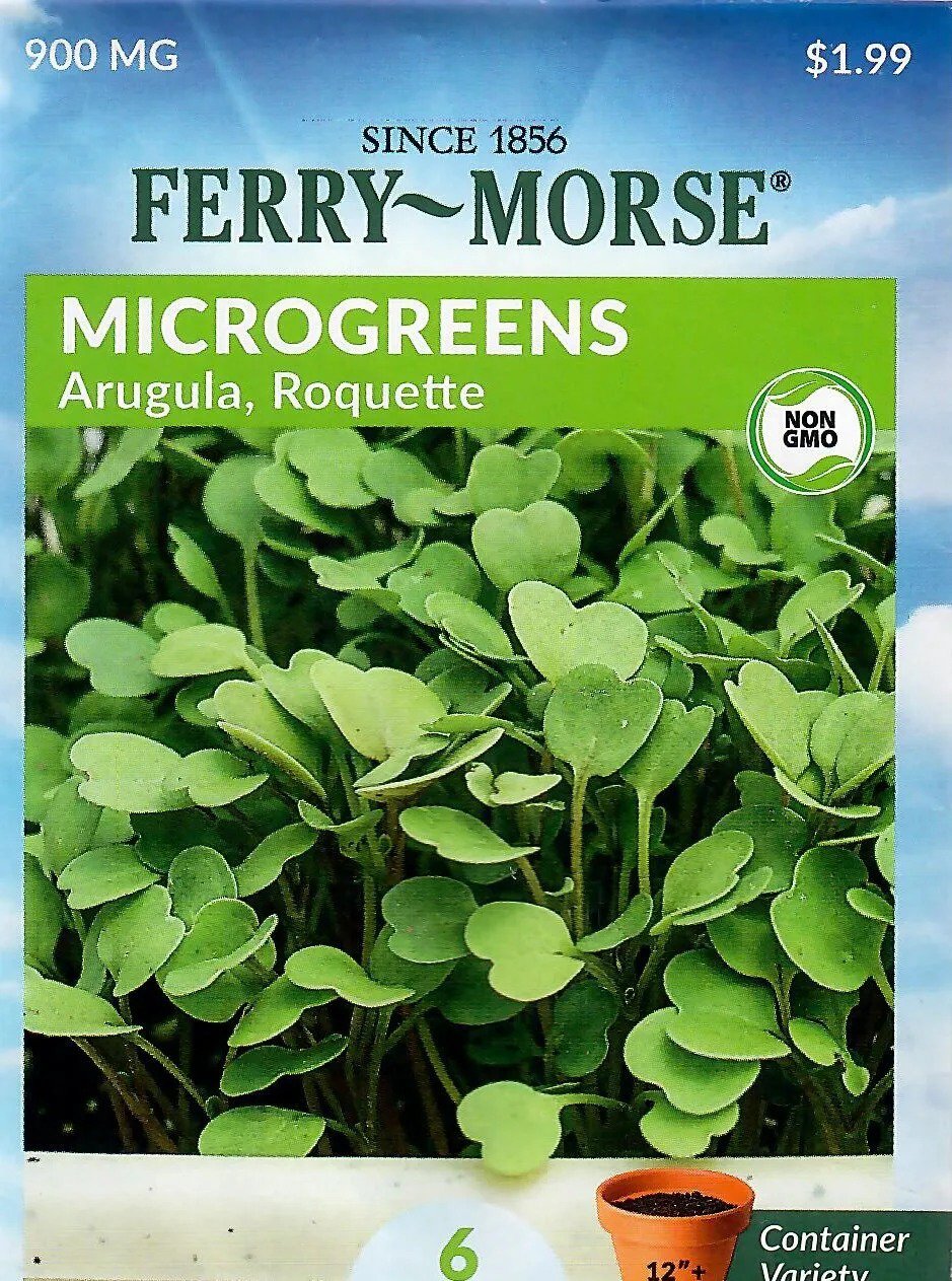 Lettuce Microgreens Arugula Roquette Non-Gmo Vegetable Seeds