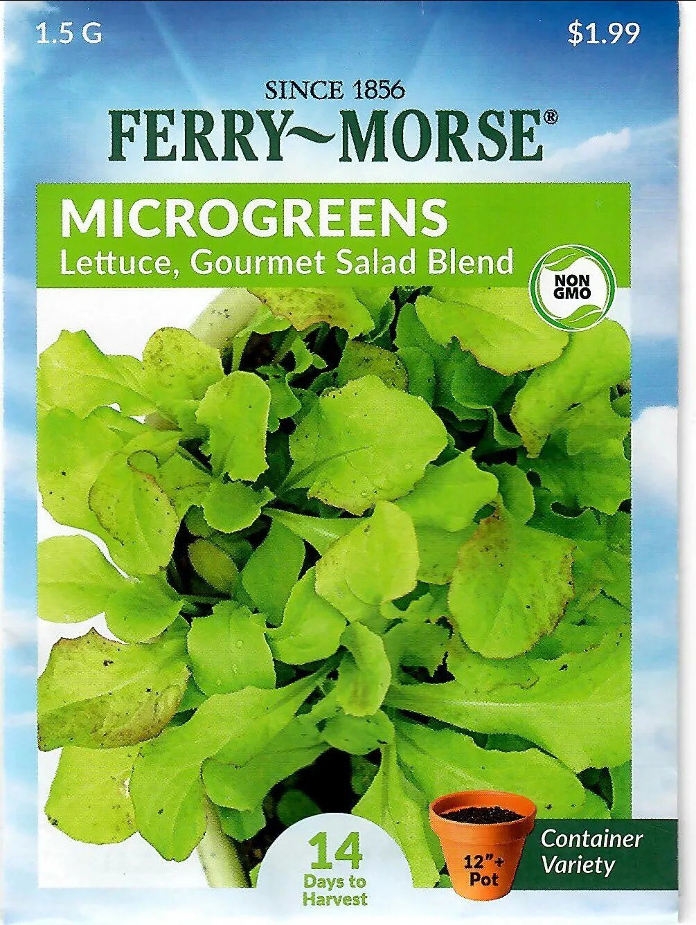 Lettuce Microgreens Gourmet Salad Vegetable Seeds Non-Gmo